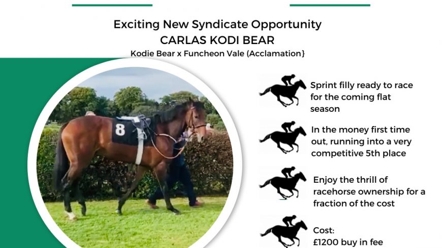 Exciting New Syndicate Opportunity